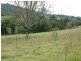 106 Sherlock Rd, Pine Mountain QLD 4306