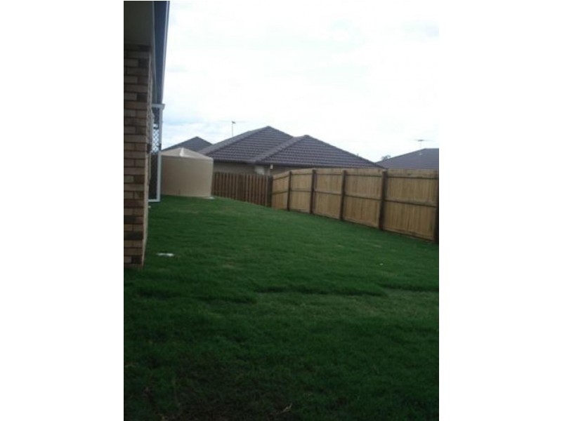 19 Campbell Court, Redbank Plains QLD 4301