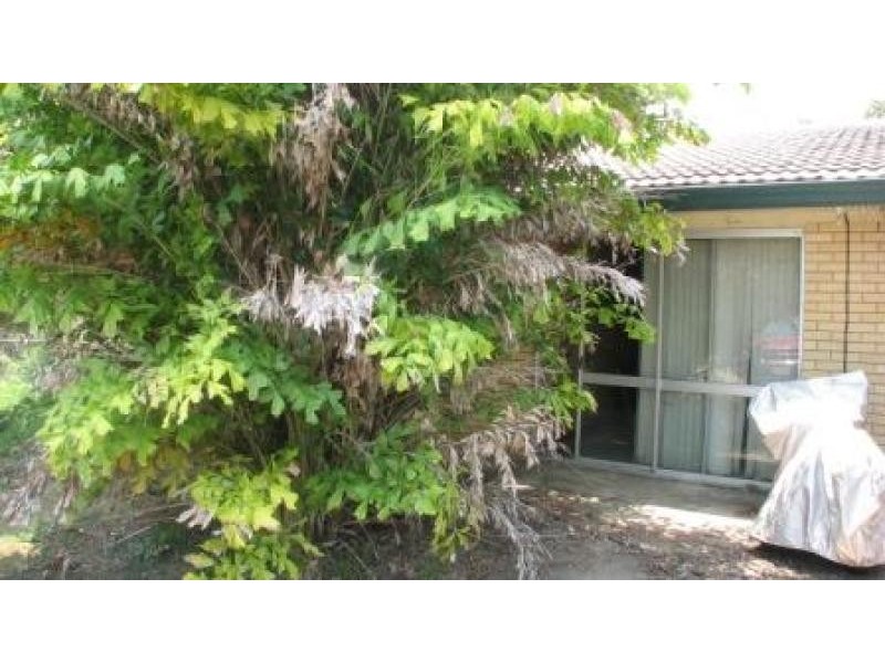 89 Camrose Cr, Underwood QLD 4119