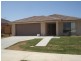 226 Henty Drive, Redbank Plains QLD 4301