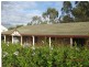 46 Mamaku Street, Fernvale QLD 4306