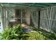 11 Cross St, Raceview QLD 4305