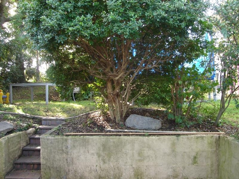 37 Harold Street, Stafford QLD 4053