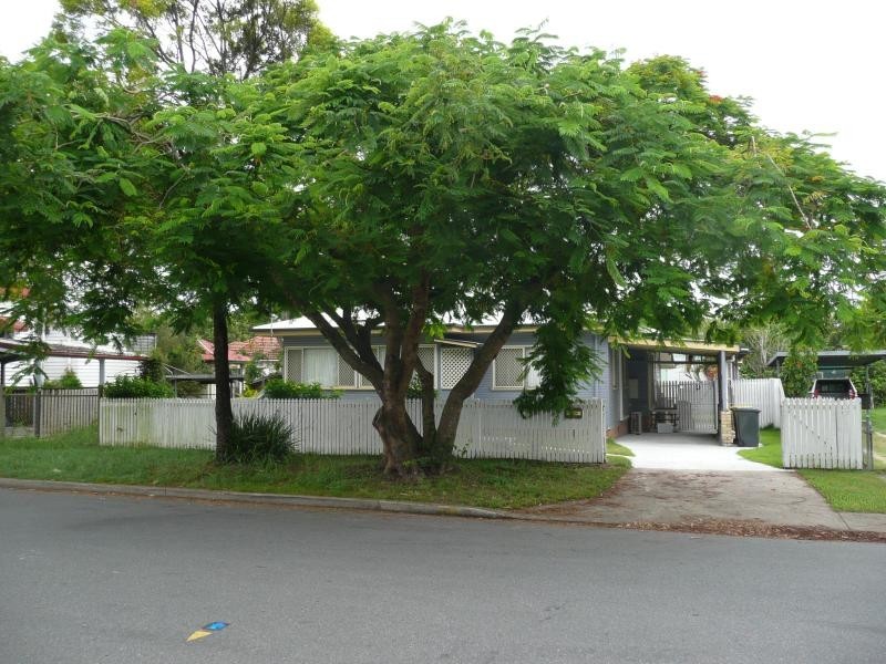 81 Farrington Street, Alderley QLD 4051