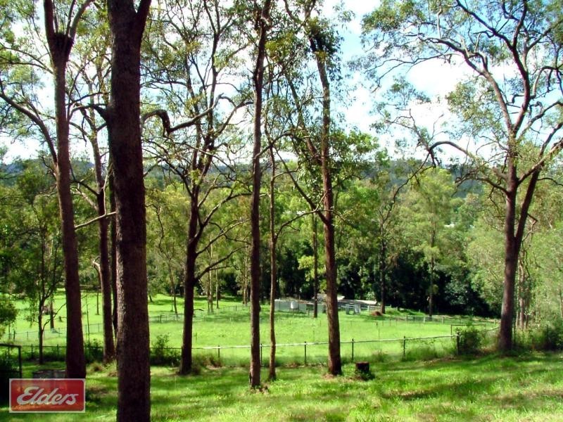 137 Upper Kedron Road, Ferny Grove QLD 4055