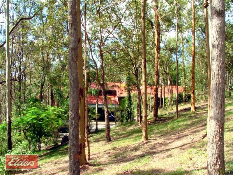 137 Upper Kedron Road, Ferny Grove QLD 4055
