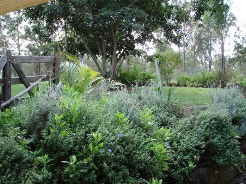 Cedar Vale QLD 4285