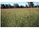 Jimboomba QLD 4280