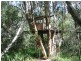 Jimboomba QLD 4280