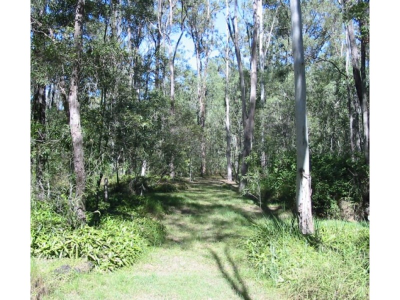 Jimboomba QLD 4280