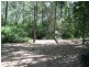 Jimboomba QLD 4280
