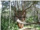 Jimboomba QLD 4280
