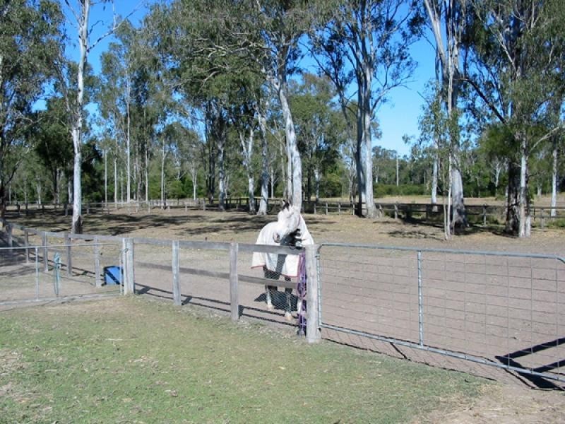 Jimboomba QLD 4280