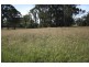 Jimboomba QLD 4280