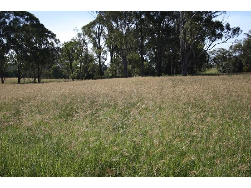 Jimboomba QLD 4280
