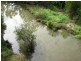 Jimboomba QLD 4280