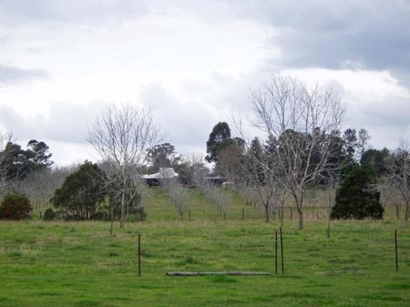 Cedar Grove QLD 4285