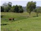 Eudlo QLD 4554