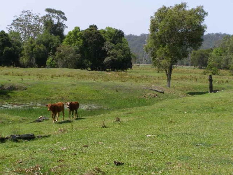 Eudlo QLD 4554