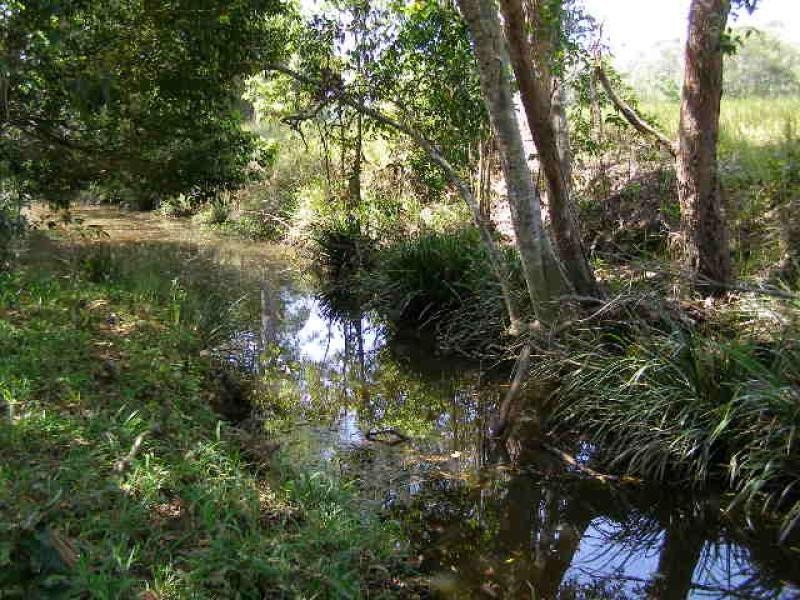 Eudlo QLD 4554