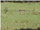 Eudlo QLD 4554