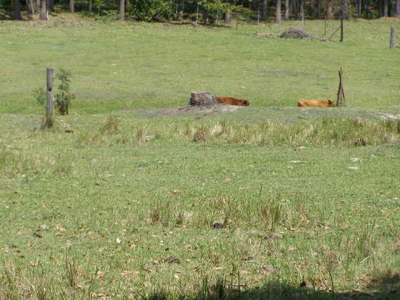 Eudlo QLD 4554