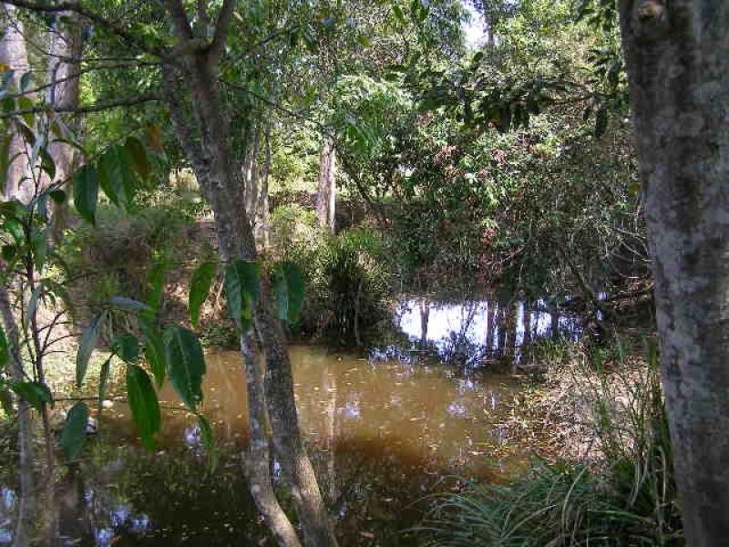 Eudlo QLD 4554
