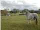 106 McKees Road, Palmwoods QLD 4555
