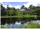 106 McKees Road, Palmwoods QLD 4555