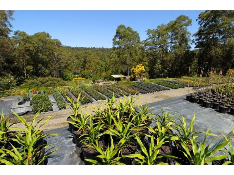 240 PASKINS ROAD, Palmwoods QLD 4555