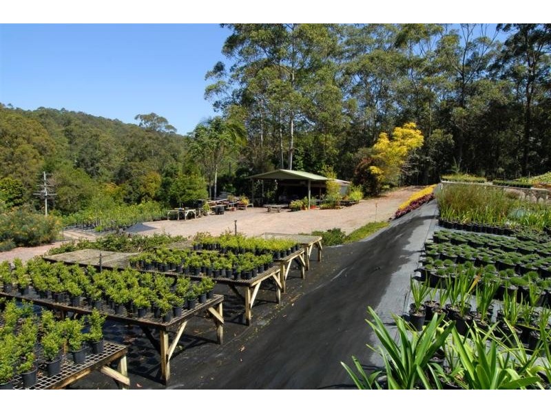 240 PASKINS ROAD, Palmwoods QLD 4555