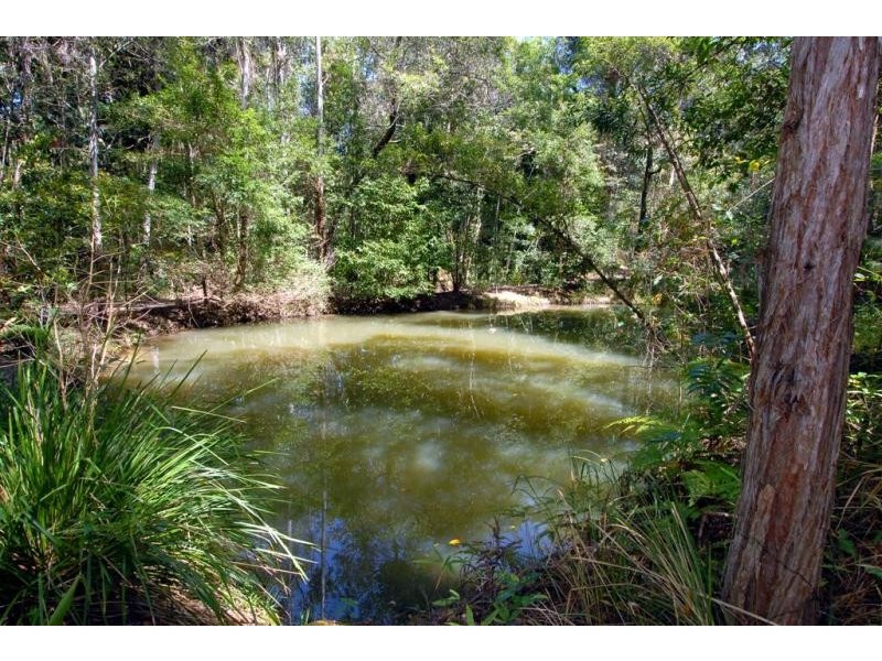 240 PASKINS ROAD, Palmwoods QLD 4555