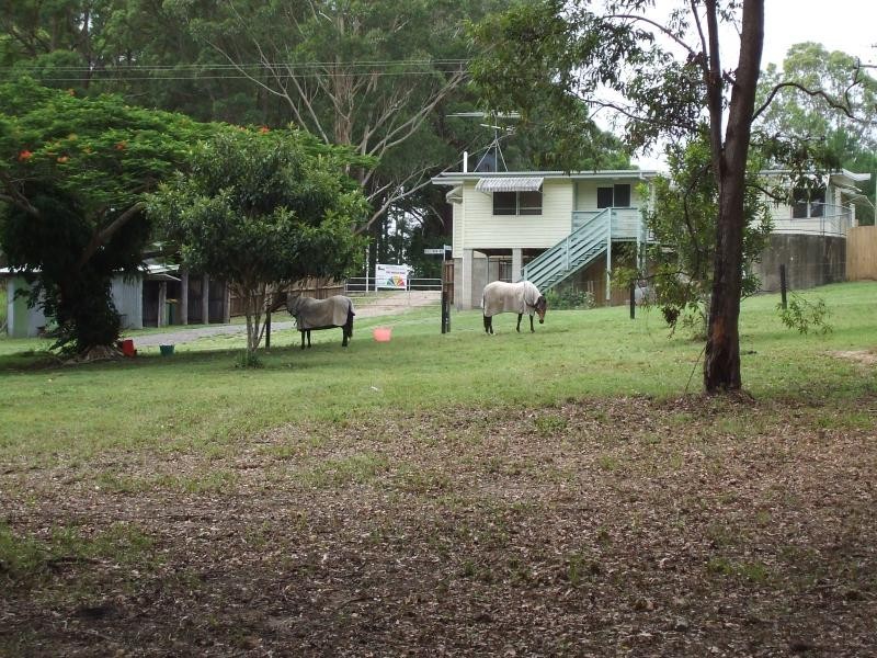 Diddillibah QLD 4559