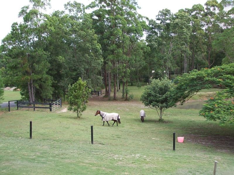 Diddillibah QLD 4559