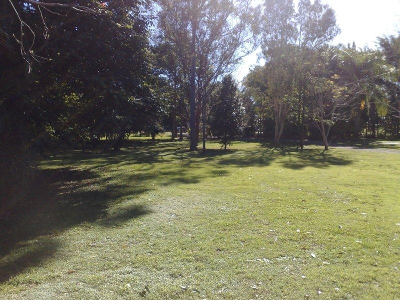 161 Palmwoods Montville Rd, Palmwoods QLD 4555
