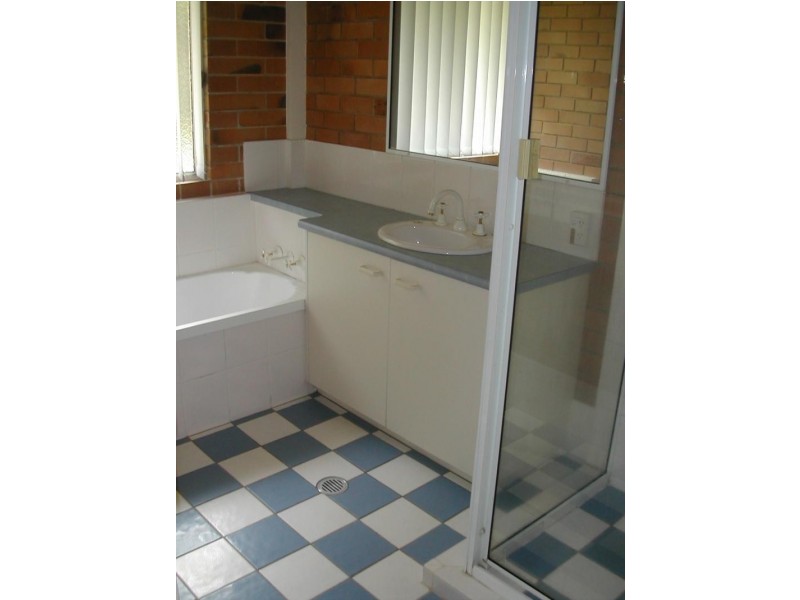 161 Palmwoods Montville Rd, Palmwoods QLD 4555