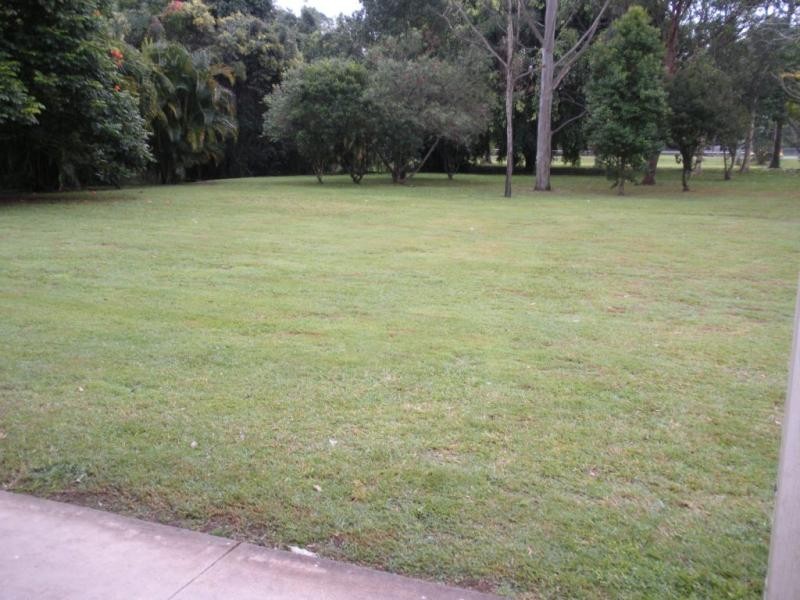161 Palmwoods Montville Rd, Palmwoods QLD 4555