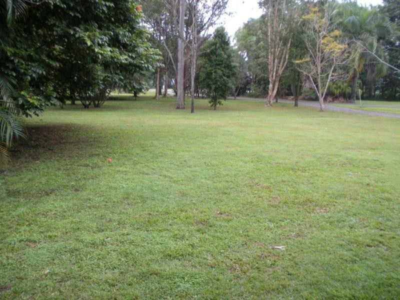 161 Palmwoods Montville Rd, Palmwoods QLD 4555