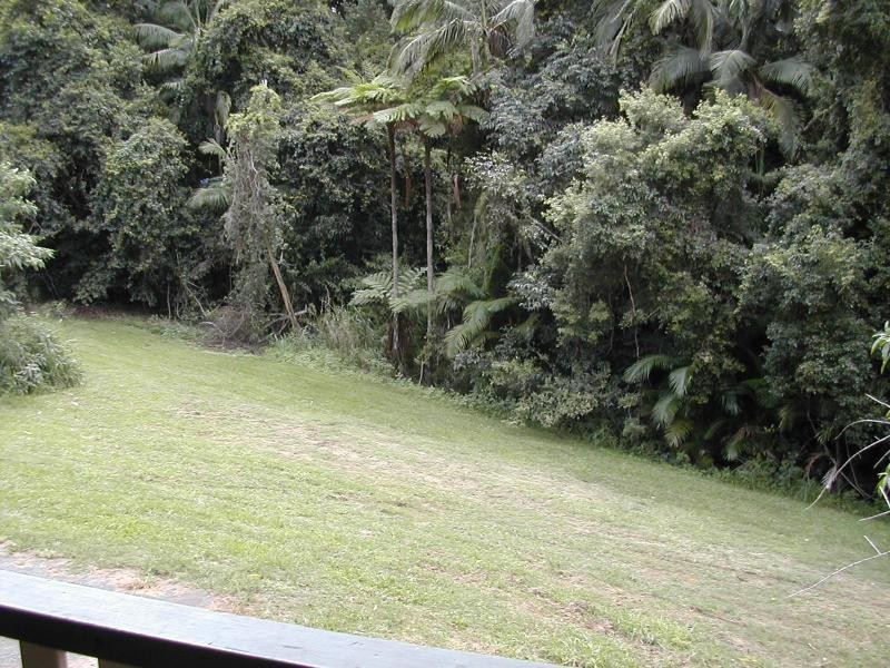Palmwoods QLD 4555