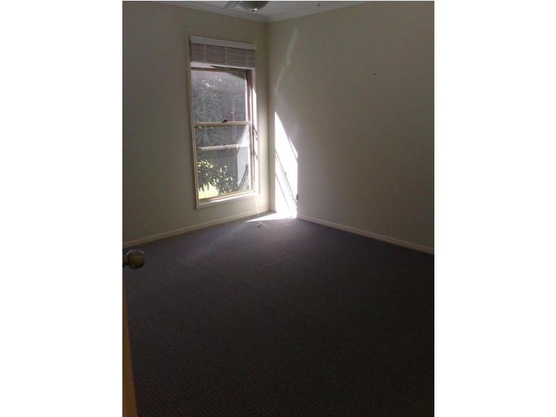 Palmwoods QLD 4555
