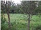 92-110 Oakey Creek Road, Eumundi QLD 4562