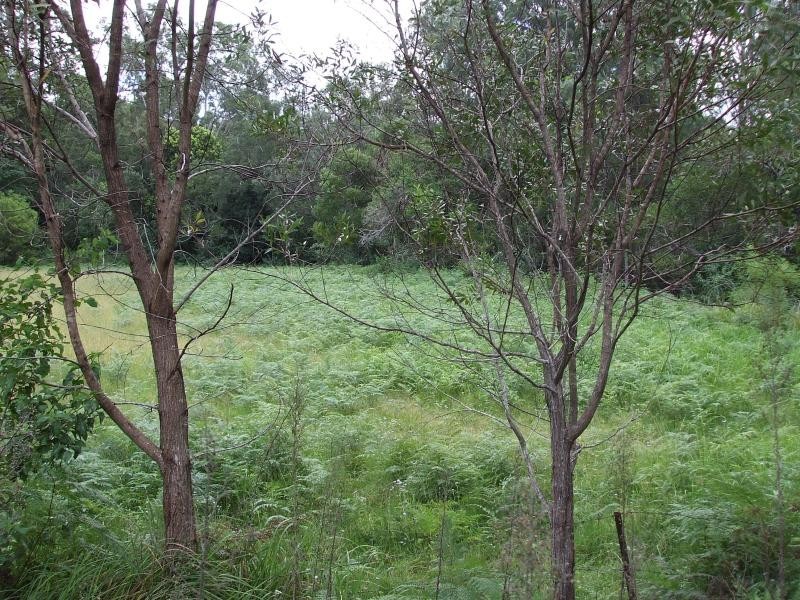 92-110 Oakey Creek Road, Eumundi QLD 4562