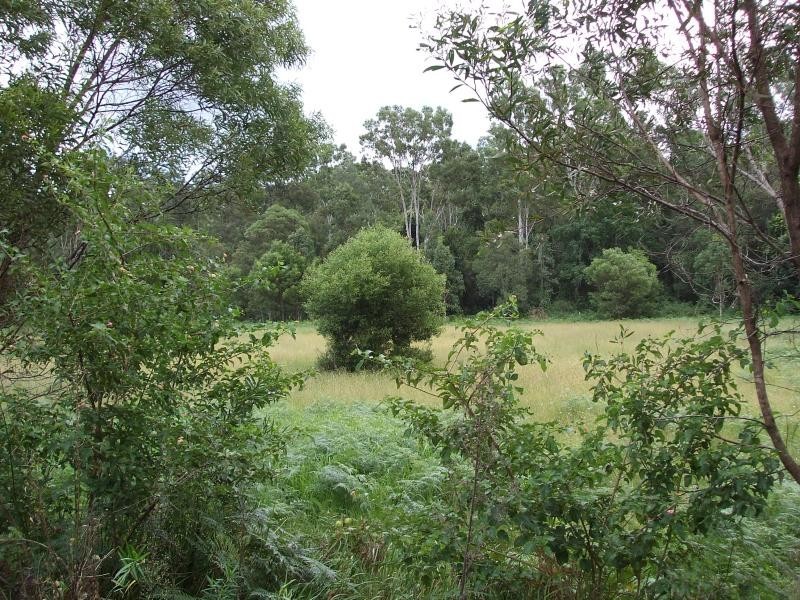 92-110 Oakey Creek Road, Eumundi QLD 4562