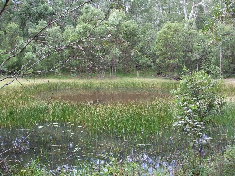 92-110 Oakey Creek Road, Eumundi QLD 4562