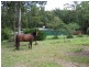 92-110 Oakey Creek Road, Eumundi QLD 4562