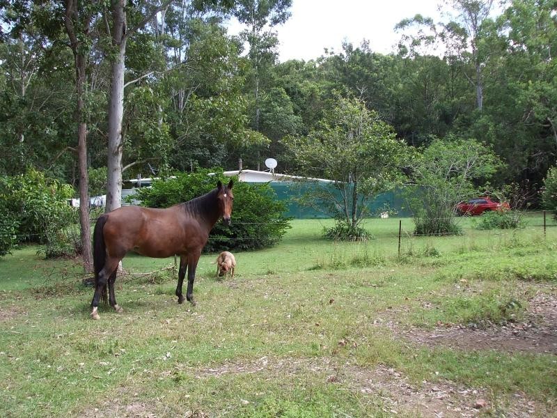 92-110 Oakey Creek Road, Eumundi QLD 4562
