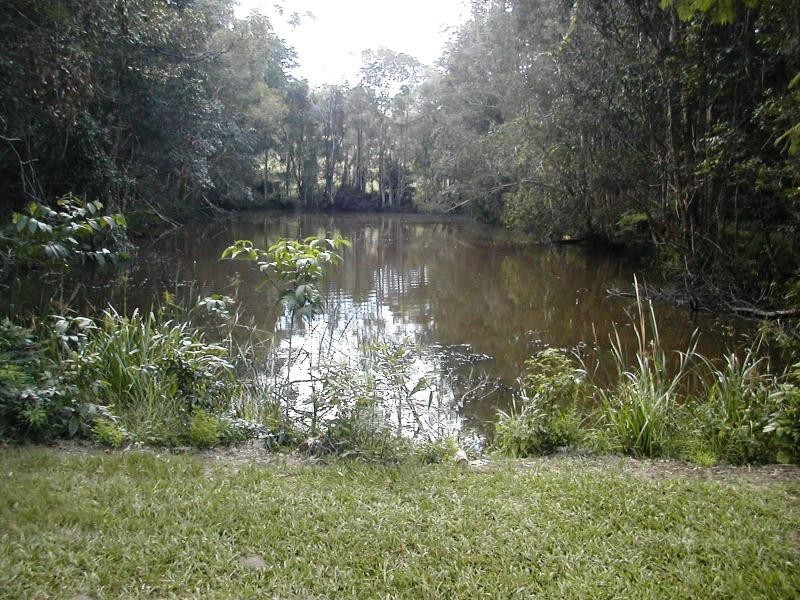 43 BAMBOO ROAD, Palmwoods QLD 4555