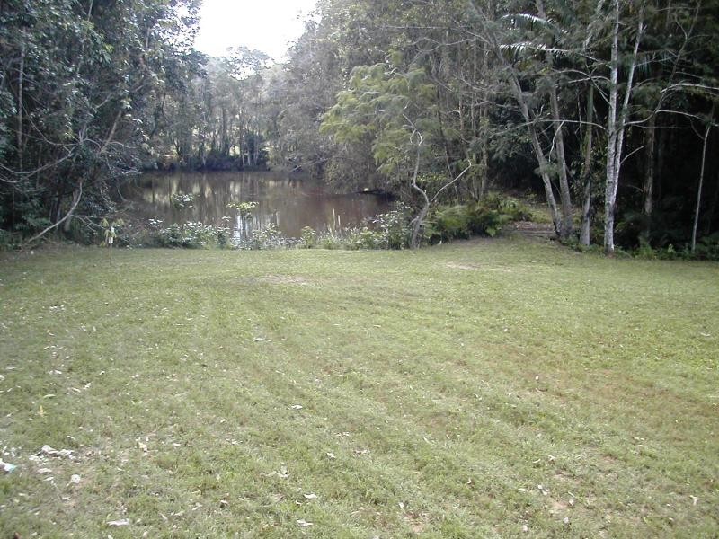 43 BAMBOO ROAD, Palmwoods QLD 4555