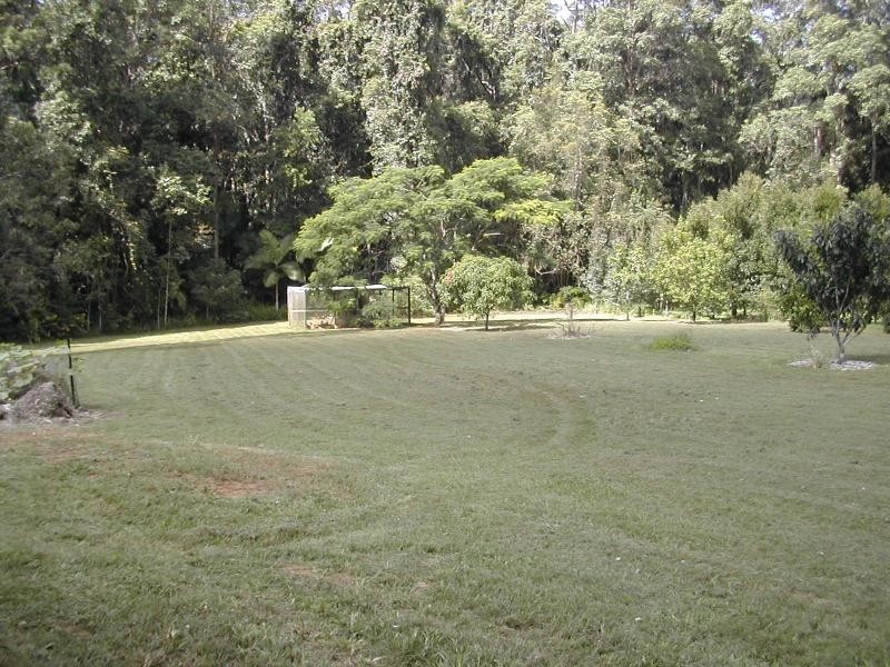 43 BAMBOO ROAD, Palmwoods QLD 4555