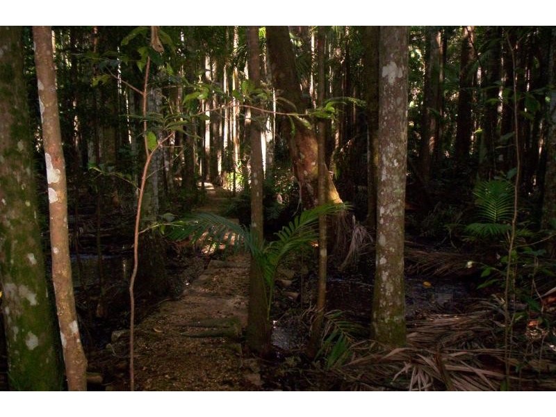 114 Diddillibah Road, Woombye QLD 4559